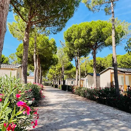 Le Calypso 5 Etoiles Campsite Torreilles
